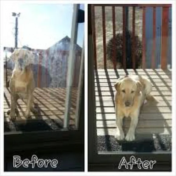 Norwex Basic Package, EnviroCloth & Window Cloth Set, Graphite & Amethyst NIP - Picture 4 of 5